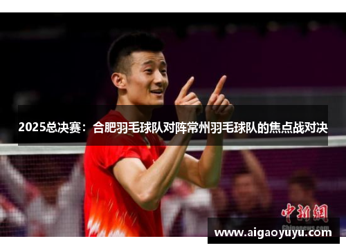 2025总决赛：合肥羽毛球队对阵常州羽毛球队的焦点战对决