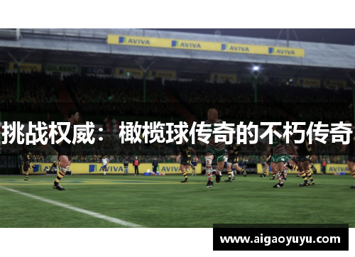 挑战权威：橄榄球传奇的不朽传奇