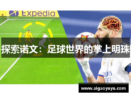 探索诺文：足球世界的掌上明珠