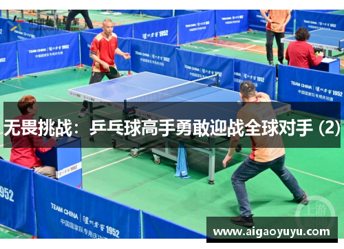 无畏挑战：乒乓球高手勇敢迎战全球对手 (2)