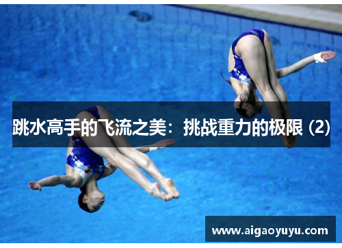 跳水高手的飞流之美：挑战重力的极限 (2)