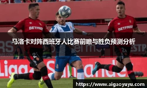 智博19有限公司